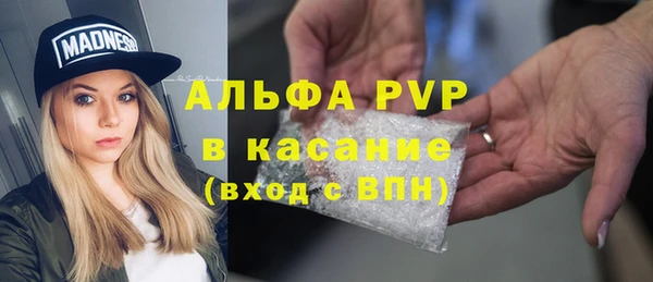 apvp Пересвет