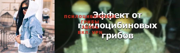 apvp Пересвет