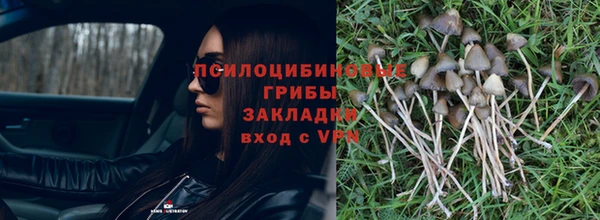 ECSTASY Пестово