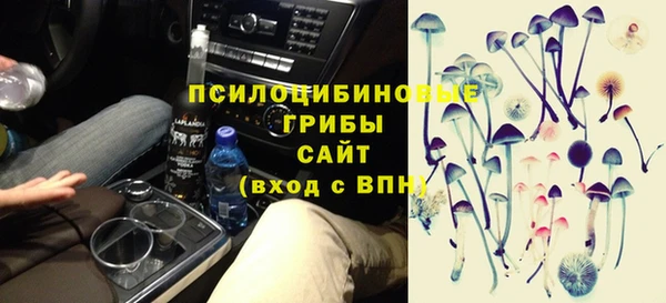apvp Пересвет