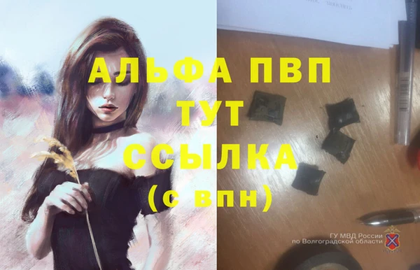 apvp Пересвет